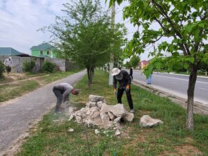 02bce4d4-de28-4289-b535-2de4125a70f7